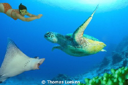 divers dream by Thomas Lueken 